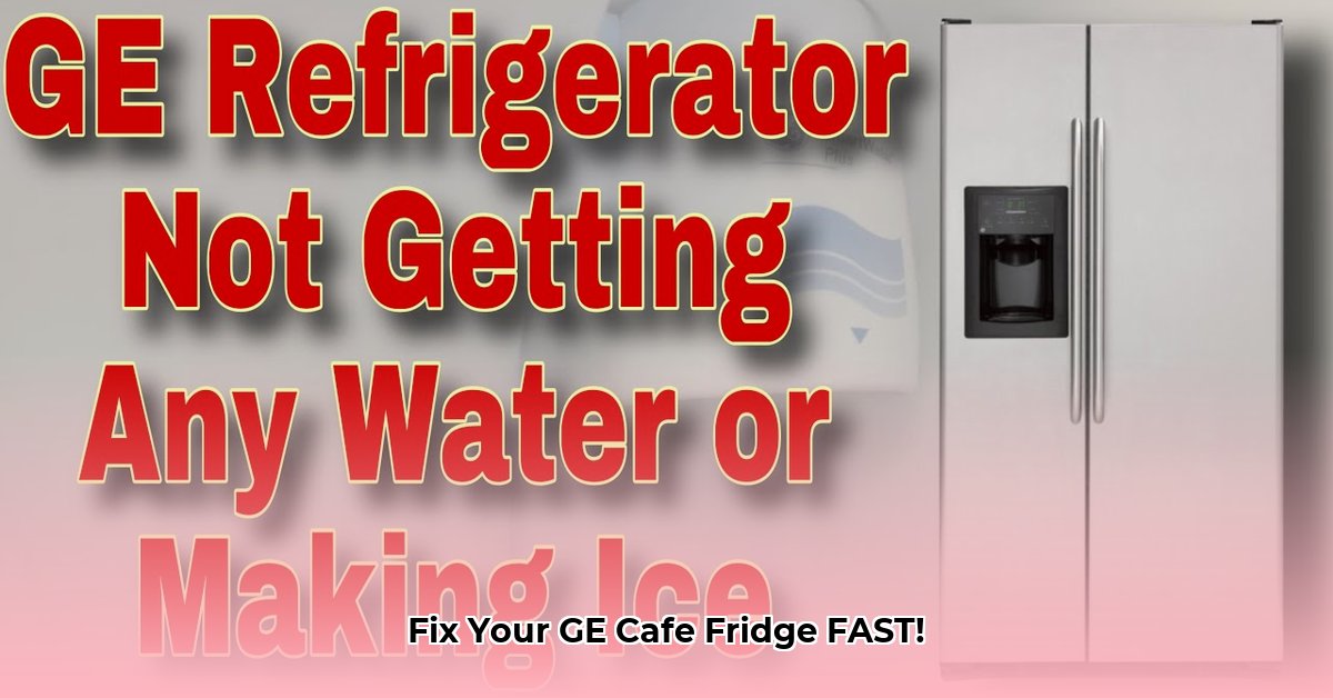 ge-cafe-series-refrigerator-problems